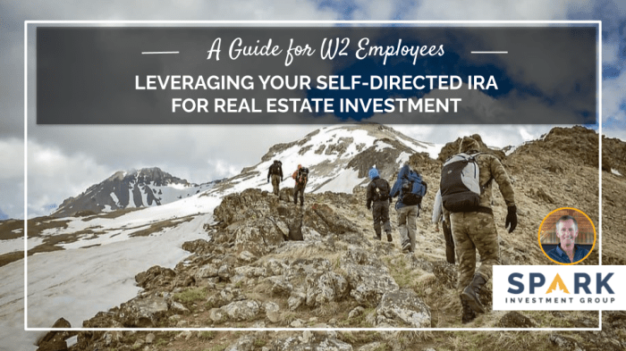Leveraging Your Self-Directed IRA for Real Estate Investment: A Guide ...