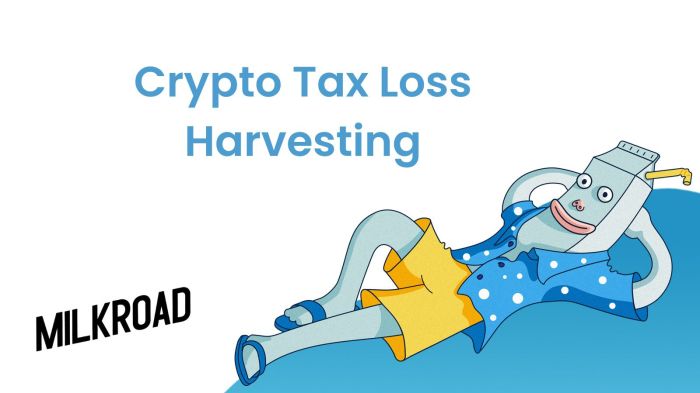 Crypto Tax Loss Harvesting: How to Harvest Crypto Investments