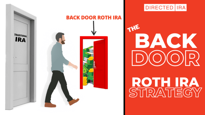 Backdoor Roth IRA Strategy | Directed IRA