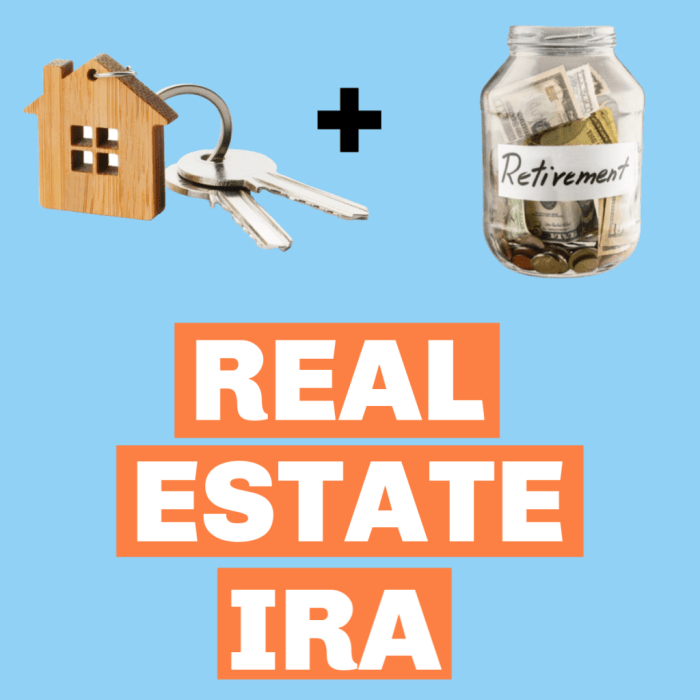 How to Use a Self-Directed IRA to Invest in Real Estate - Coach Carson