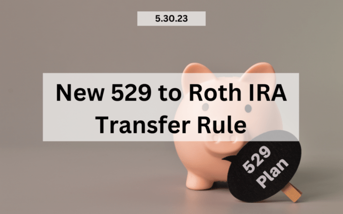 529 Plan to Roth IRA Rollover: How To Do It | RGWM Insights