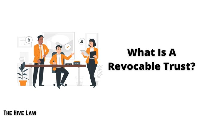 Revocable And Irrevocable Trusts Explained – VYJSBI