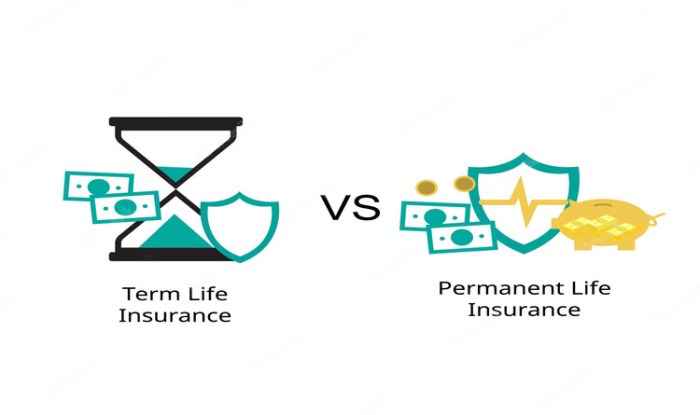 Term Vs Whole Life Insurance - My Cheap Term Life Insurance Term Vs Whole Life Insurance - My Cheap Term Life Insurance