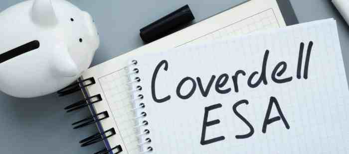 Coverdell esa blue gradient concept icon Vector Image Coverdell esa blue gradient concept icon Vector Image