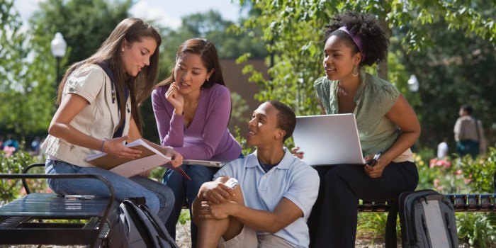 Public vs Private University: What's the Difference? Public vs Private University: What's the Difference?